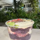 Açaí 1 Litro