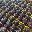 100 doces tradicionais 