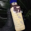 Creme de Maracujá