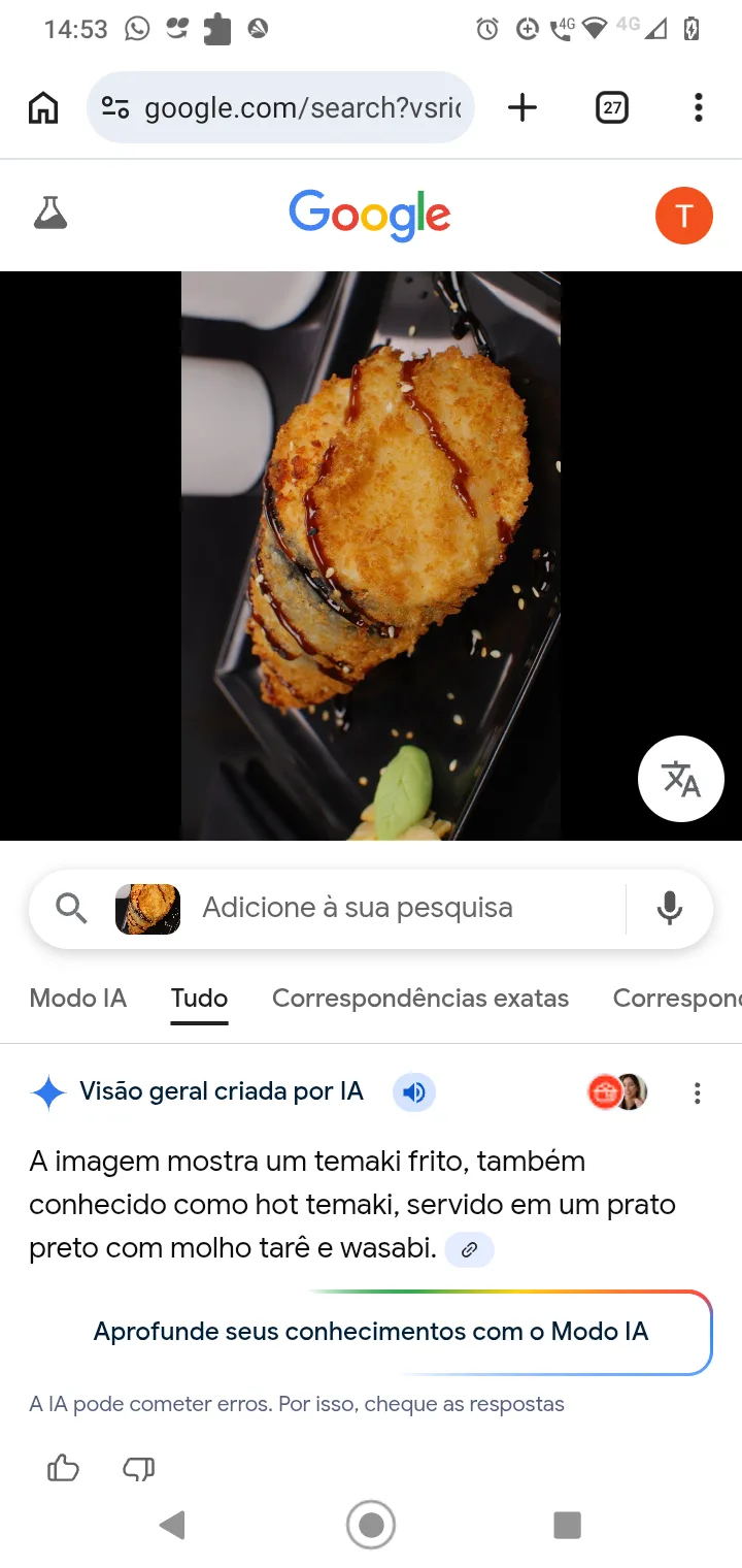 Temaki hot