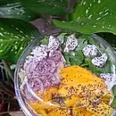 Mango Bliss