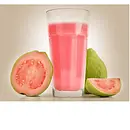 SUCO DE GOIABA 