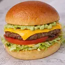 X SALADA