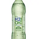 H20