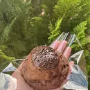 Cookies | Chocolatudo