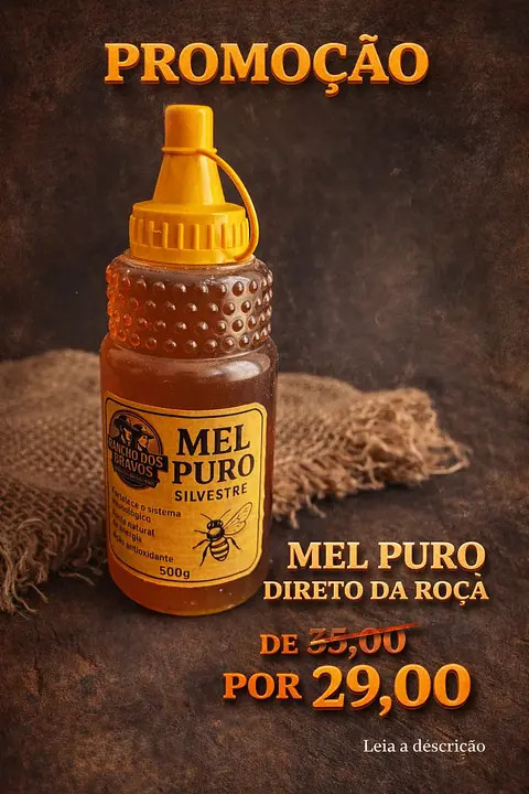 Mel Puro 500ml