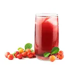 SUCO ACEROLA 