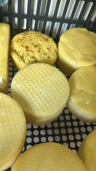 Queijo meia cura