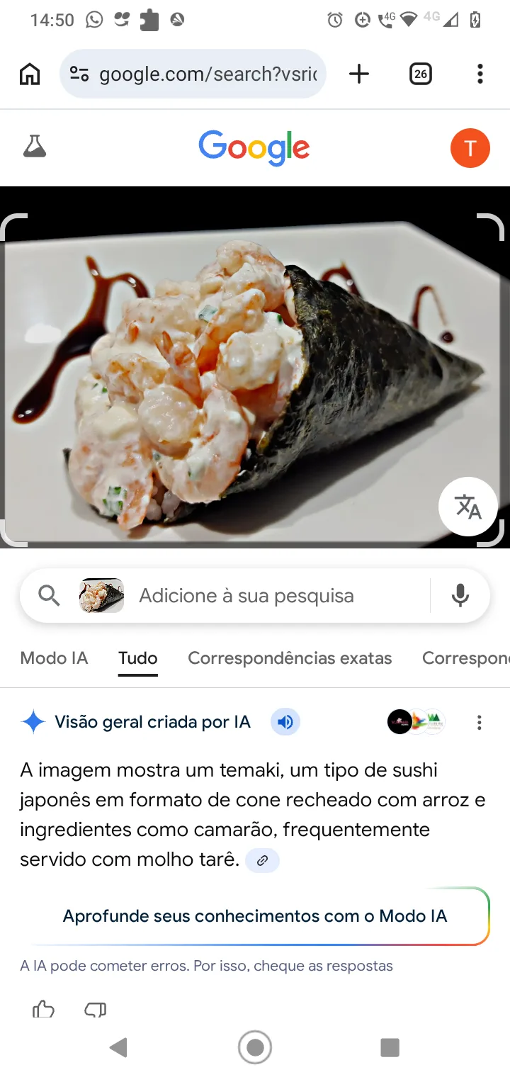 Temaki Camarão 