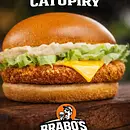Frango catupiry 