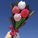 Tulipa 